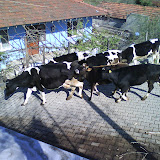 DSC00540.JPG
