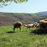 DSC_4660.JPG