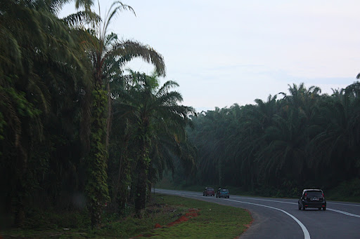 Immernoch auf ner Strasse in Malaysia, ein wenig später....