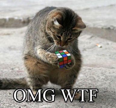 [rubikscat15.jpg]