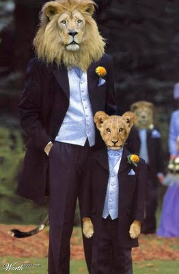 [lion-photoshop[5].jpg]
