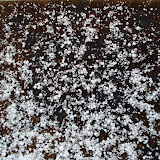 The largest hailstones were about the size of a nickel