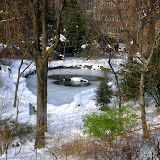 View from my window at work, 2 days after the snowfall