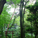 A beautiful pathway at the open air Edo museum A beautiful pathway at the open air Edo museum