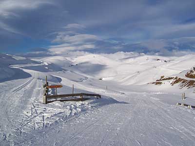 snow-farm-2.jpg