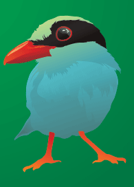 [bird3[3].gif]