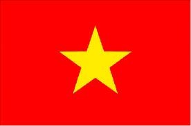 [vietnam flag[2].jpg]