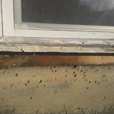 Remodel Phase 2