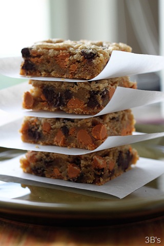 [butterscotch chip bars 2[5].jpg]