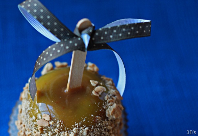 [apple-pie-caramel-apples[4].jpg]