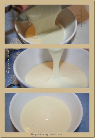 mozzarella home made3 mozzarella home made3