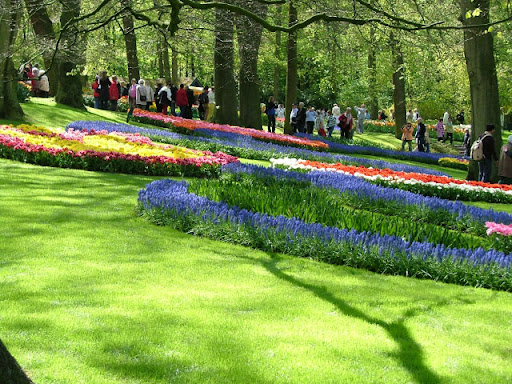 Keukenhof 2011, il parco di tulipani più bello che esista