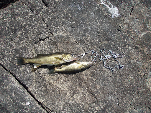 9 inch shemale cock