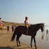 218 DSC01798.JPG