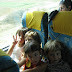 162 IMG_2123.JPG
