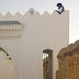 173 IMG_6016.jpg