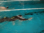 Triathlon 20Testival 20019 in Triathlon Testival 2009