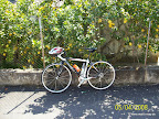100 0081 in Trainingslager Mallorca 2009