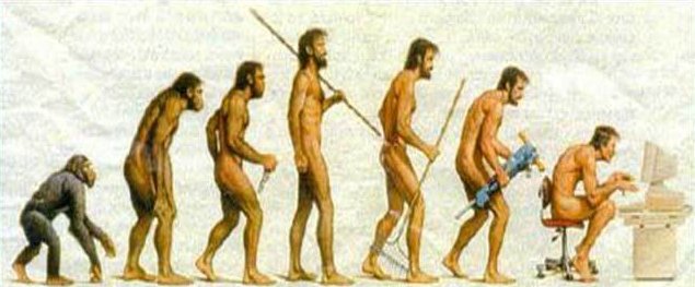 [evolution.jpg]