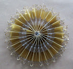 The glued medallion. The glued medallion.