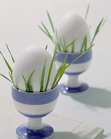 Green grass in eggcup