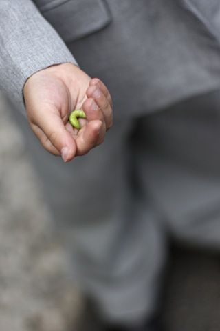 [caterpillar print[3].jpg]