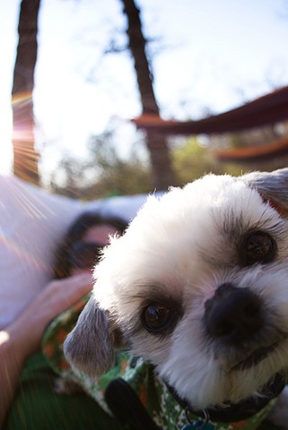 [191-glenn[2].jpg]
