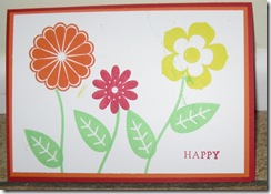 IMG_0749 IMG_0749