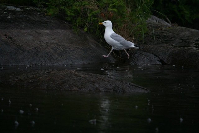 [2009 07 31_4315[2].jpg]