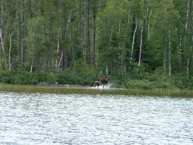 [Irene Lake Ontario 08.07.2010 013[2].jpg]