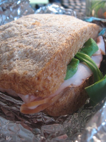 [Salad0243.jpg]