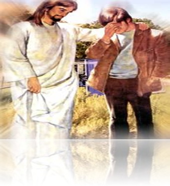 C_220406_N_dios