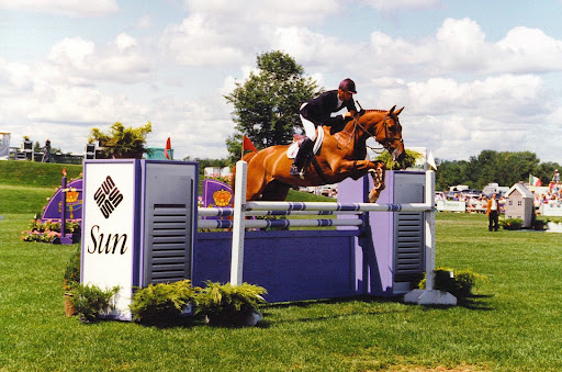 Horse in mid jump