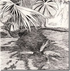 poi pond pen and ink