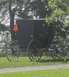 Amish Craftsmen