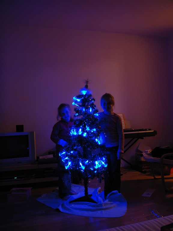 [At home - Christmas Tree 028[2].jpg]