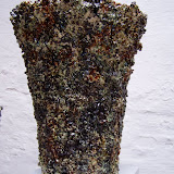 P1010017.JPG