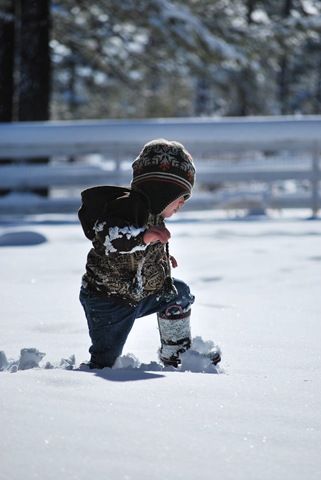 [SonsJan_2010 01 23_0652[4].jpg]