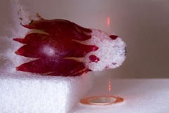 high_speed_photography_13