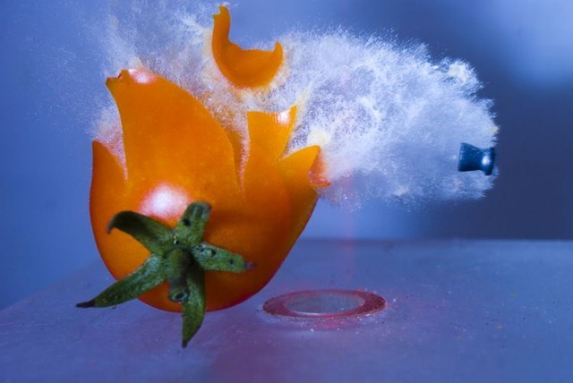 [high_speed_photography_17[5].jpg]