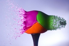 high_speed_photography_24