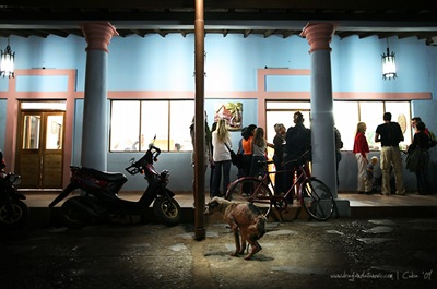 Perro story 008
