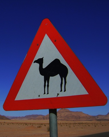 [Camel Crossing[10].jpg]
