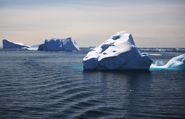 [Icebergs And Ice[4].jpg]