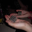 DSCN5146.JPG