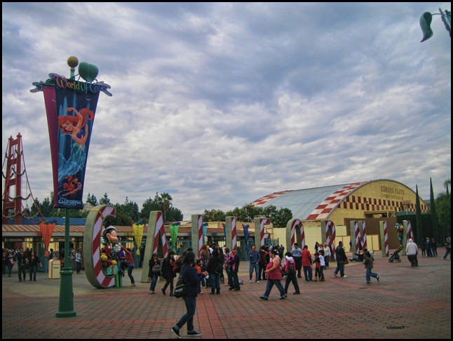 IMG_0424 copy