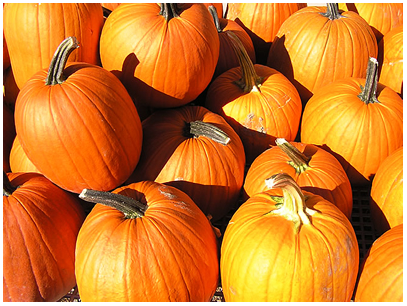 [pumpkins[6].png]