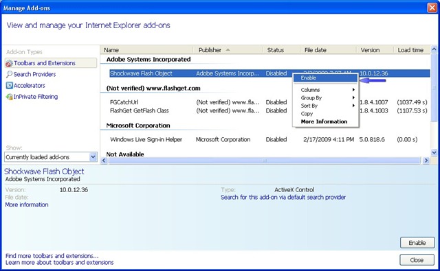 [Internet Explorer enable add-ons[2].jpg]