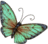 Butterfly3
