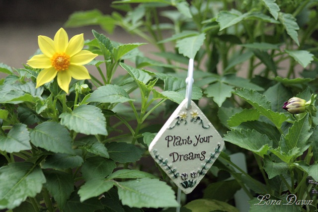 [Dahlia_Victoriana_Yellow[6].jpg]